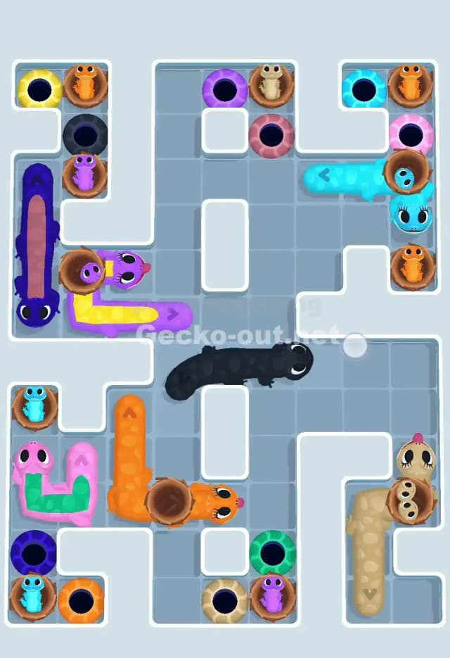 Gecko Out Level 662 Solution 1
