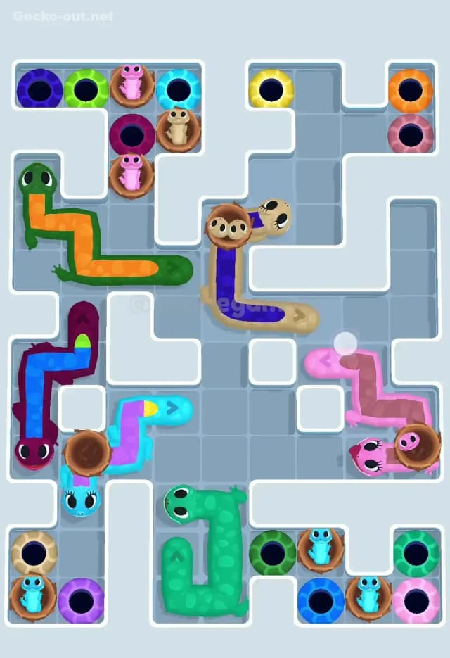 Gecko Out Level 598 Solution 1