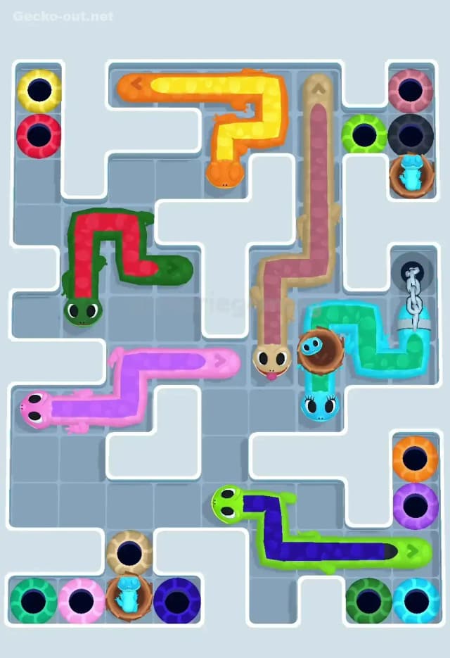 Gecko Out Level 594 Solution 1