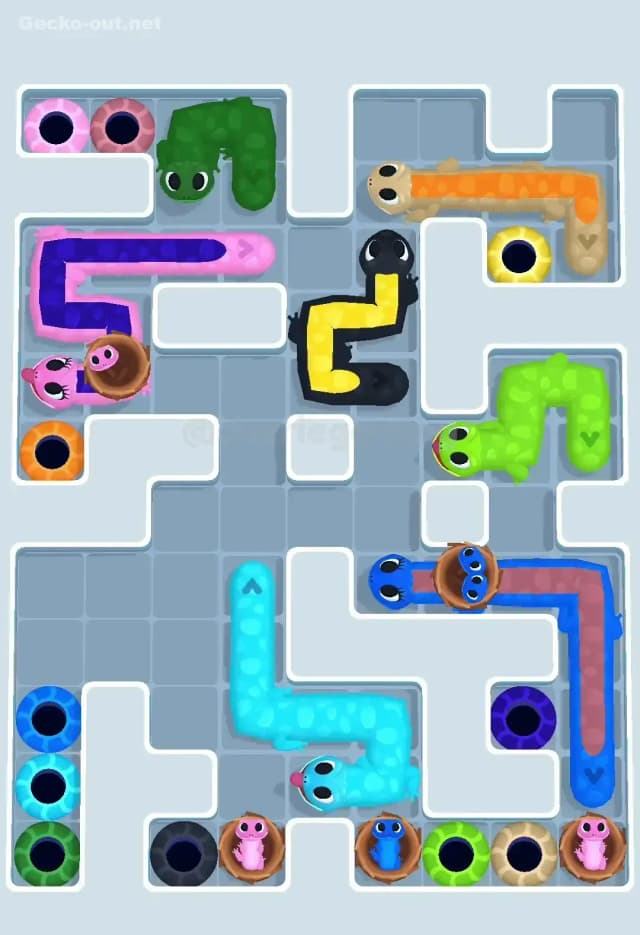 Gecko Out Level 593 Solution 3