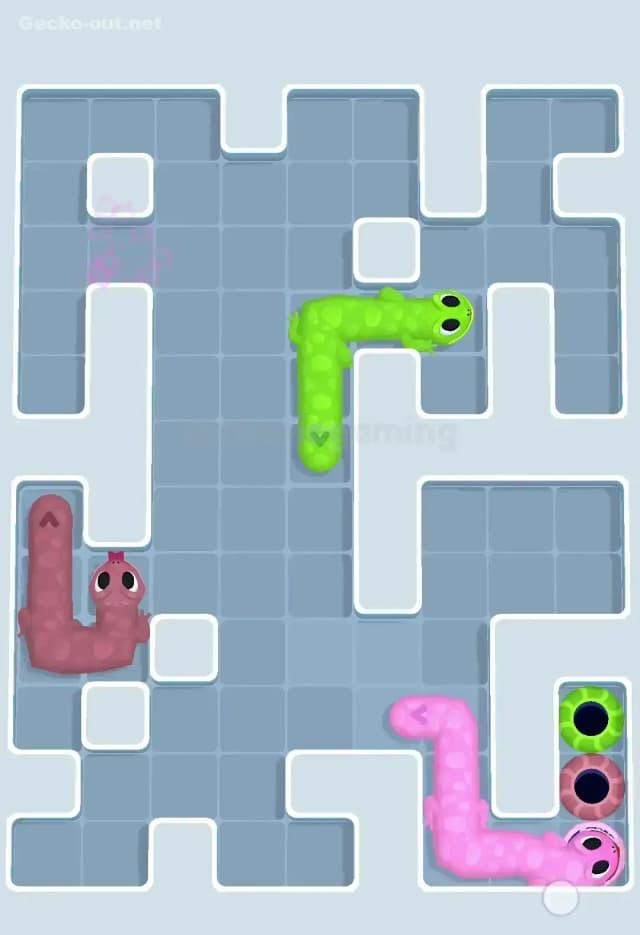 Gecko Out Level 591 Solution 3