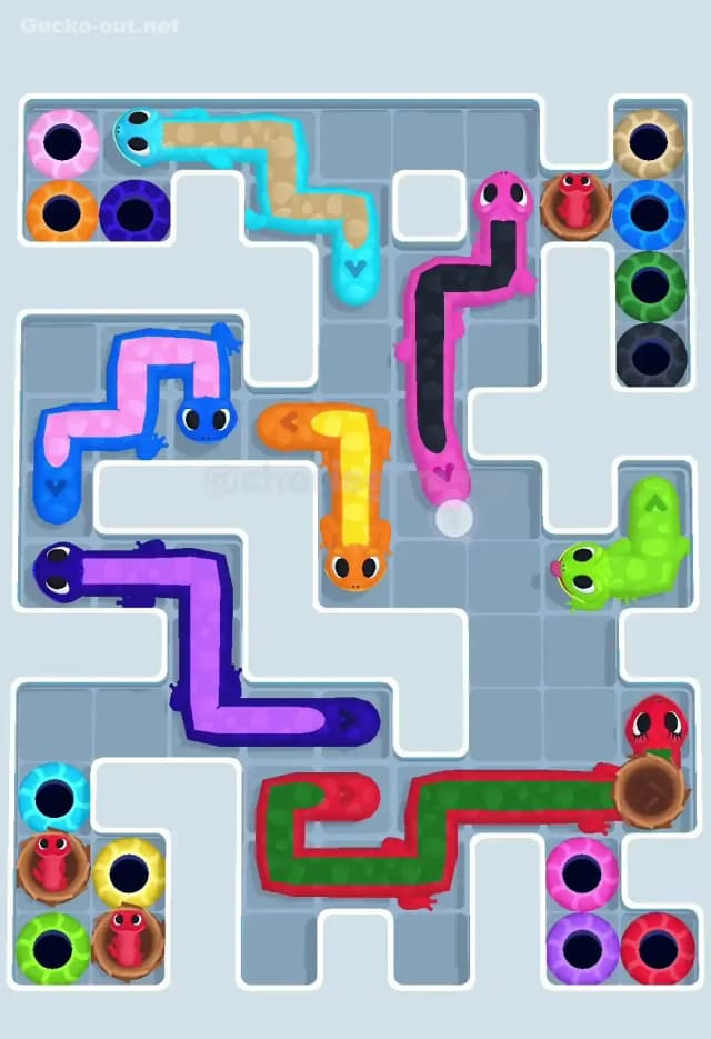 Gecko Out Level 590 Solution 1