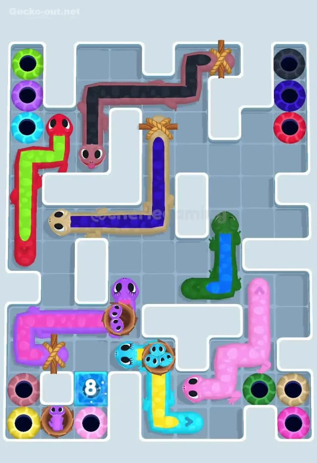 Gecko Out Level 589 Solution 1