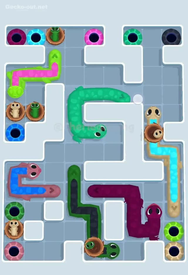 Gecko Out Level 587 Solution 3