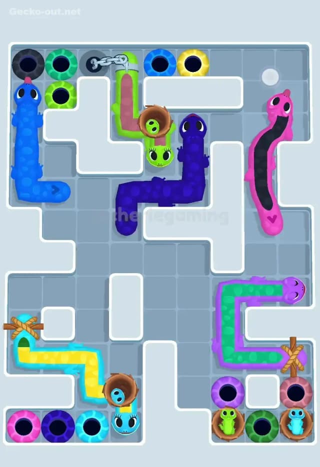 Gecko Out Level 586 Solution 2