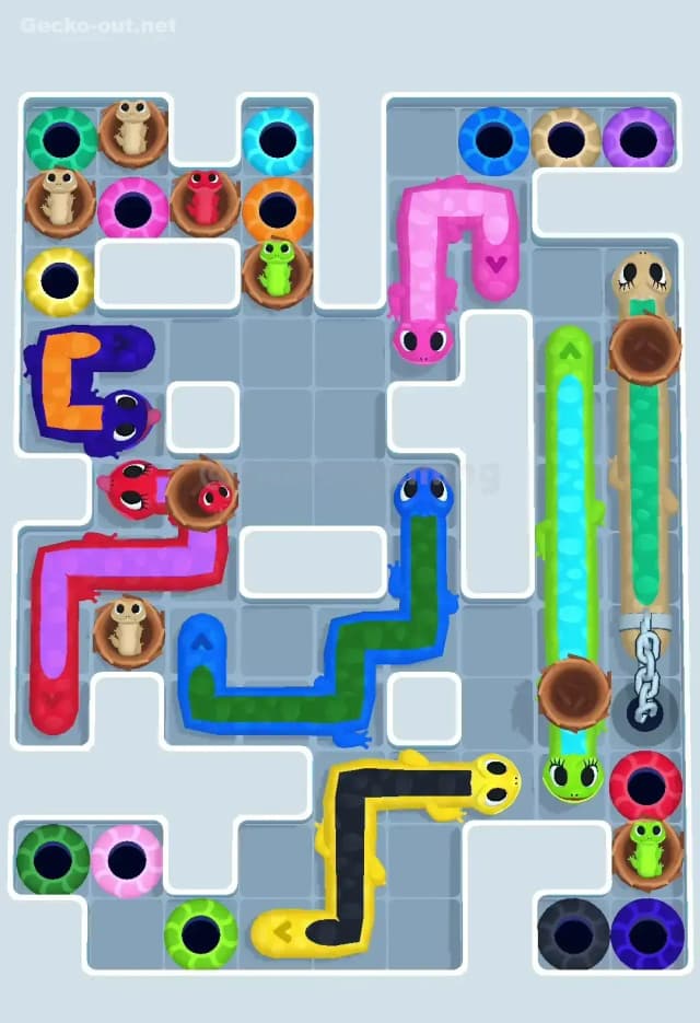 Gecko Out Level 584 Solution 1