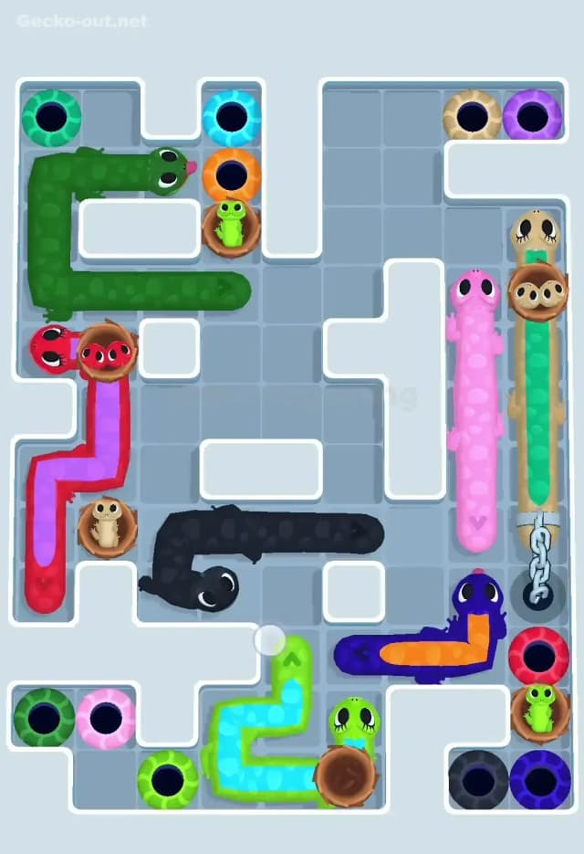 Gecko Out Level 584 Solution 3