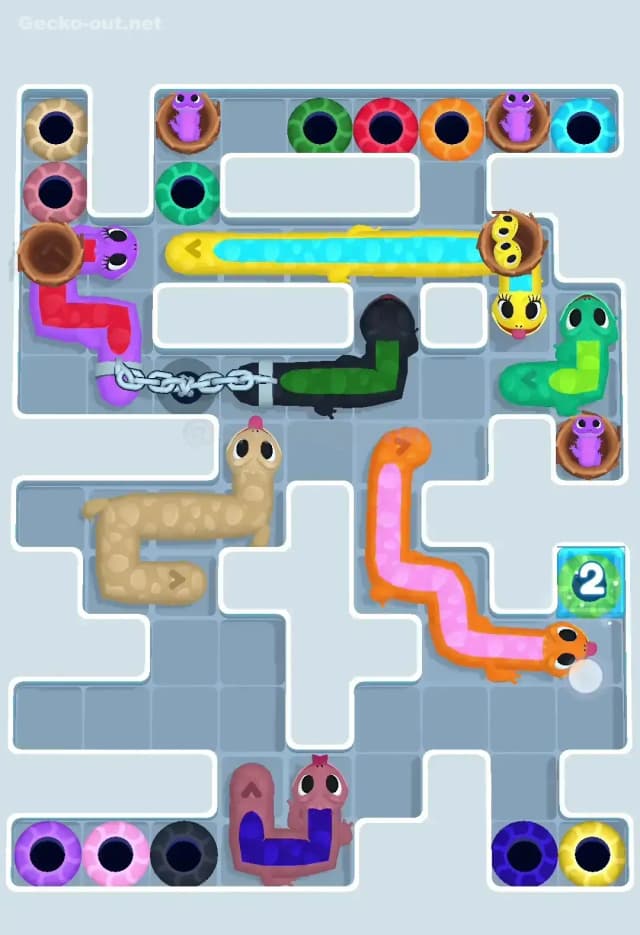 Gecko Out Level 581 Solution 1