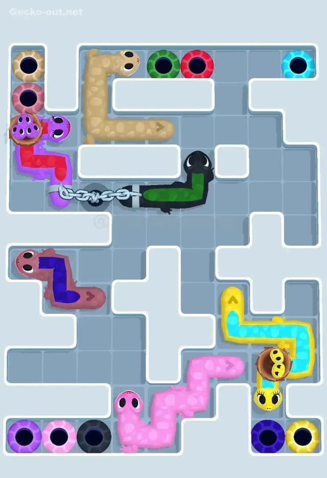 Gecko Out Level 581 Solution 3
