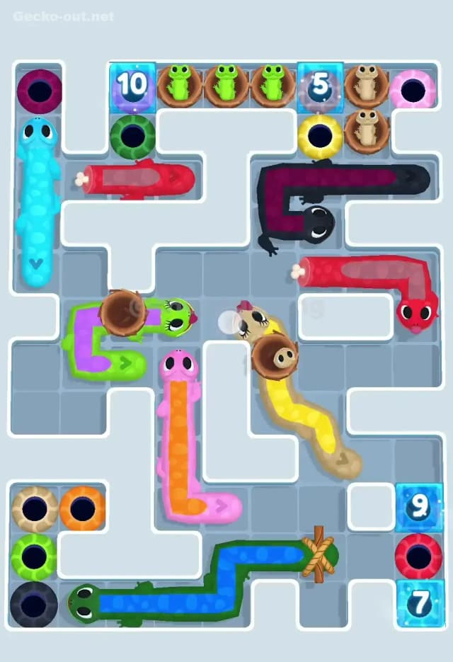 Gecko Out Level 582 Solution 1