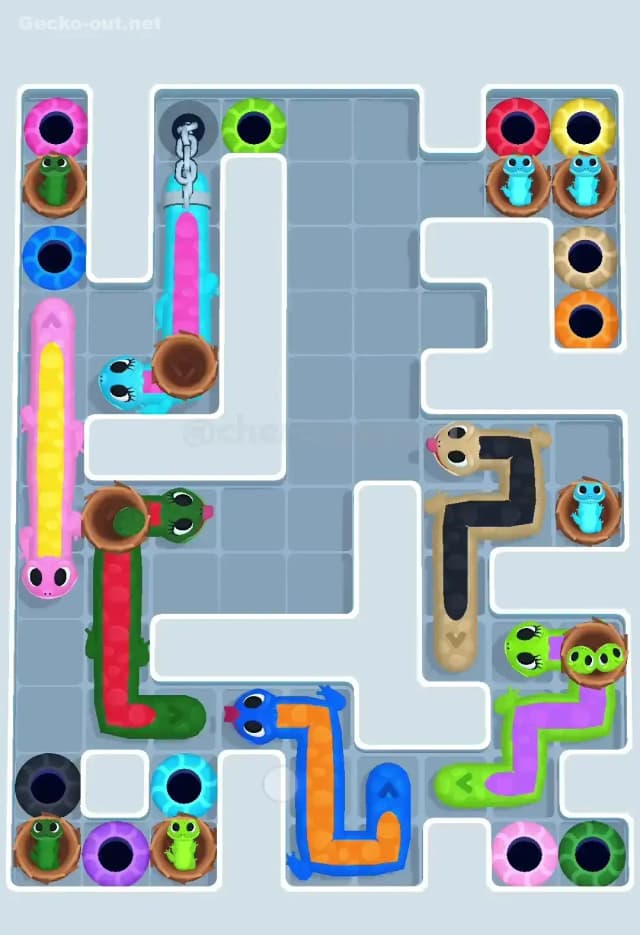 Gecko Out Level 577 Solution 1