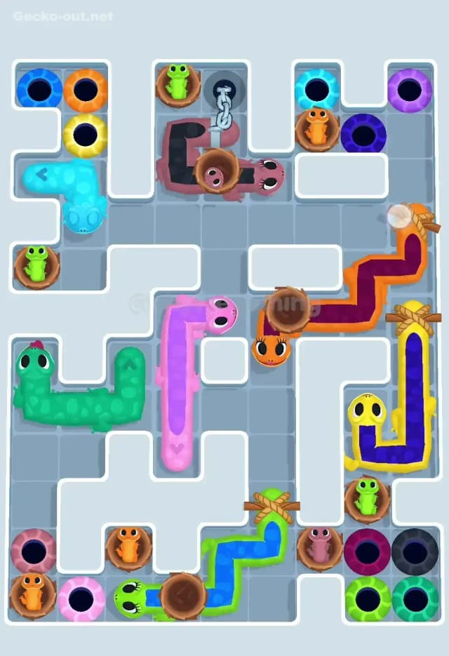 Gecko Out Level 580 Solution 2