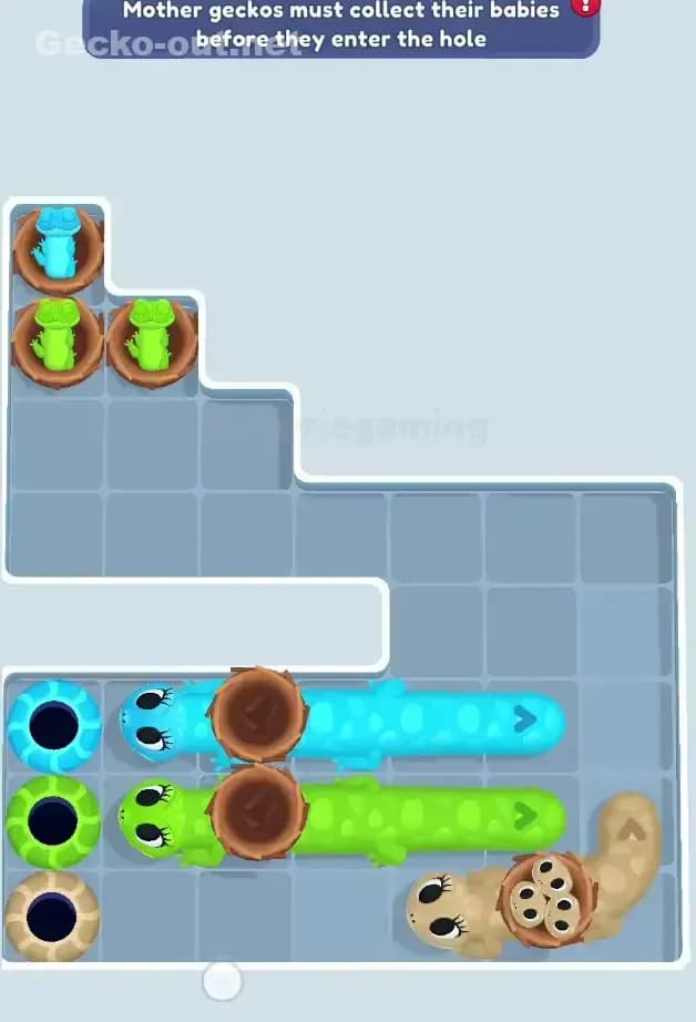 Gecko Out Level 573 Solution 1