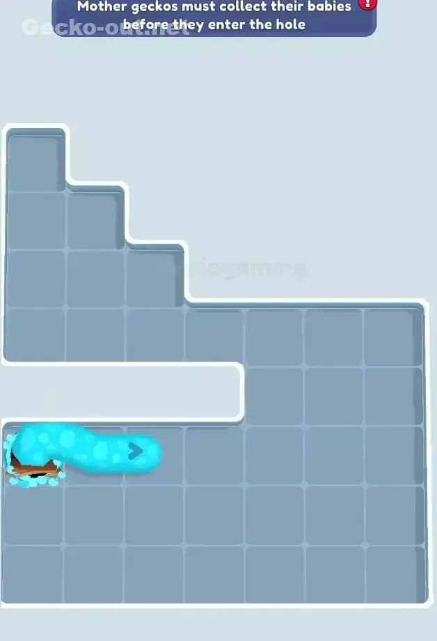 Gecko Out Level 573 Solution 3