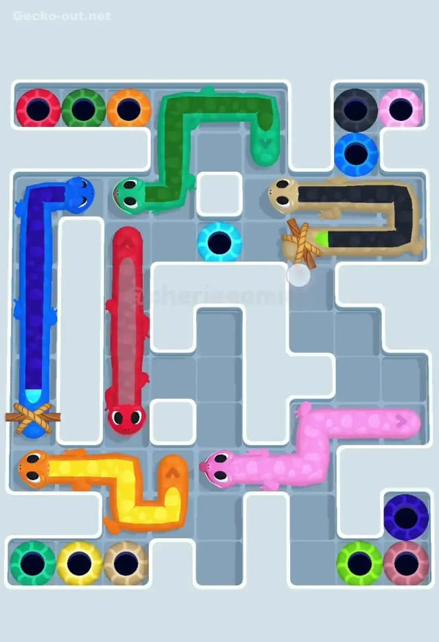 Gecko Out Level 565 Solution 1