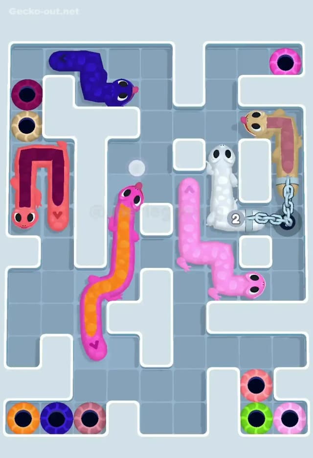 Gecko Out Level 563 Solution 2