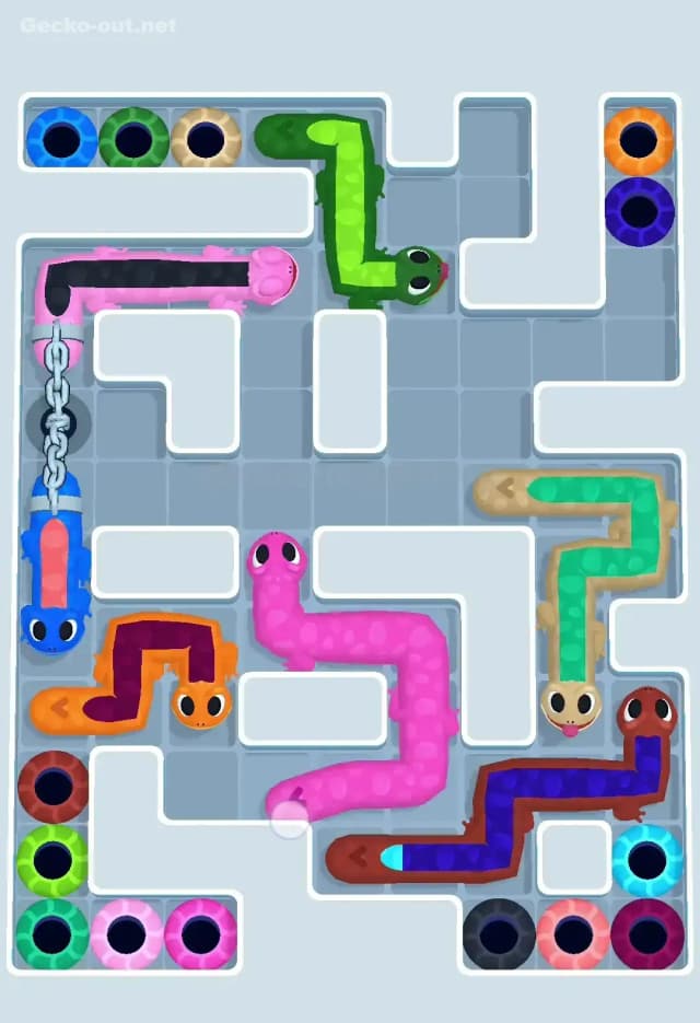 Gecko Out Level 562 Solution 2