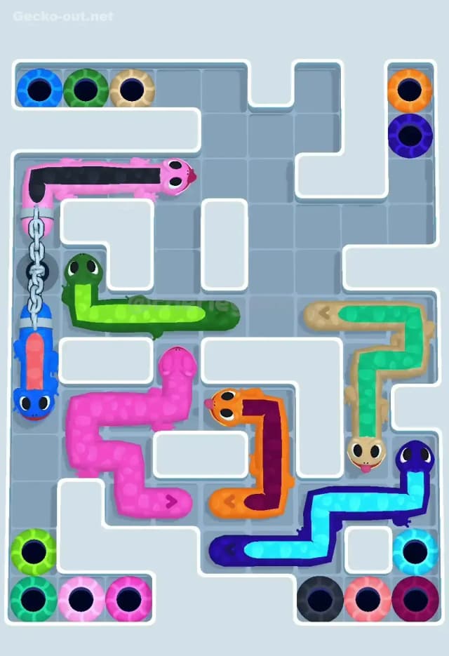 Gecko Out Level 562 Solution 3