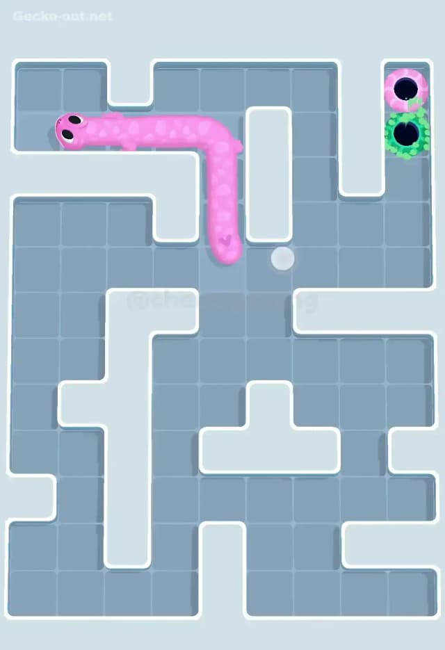 Gecko Out Level 560 Solution 3