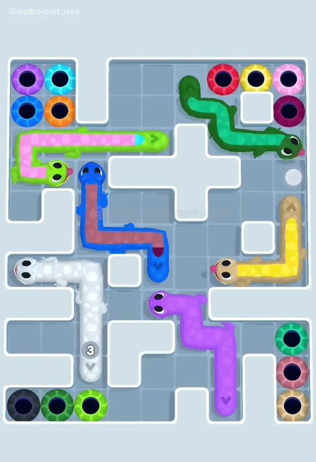 Gecko Out Level 556 Solution 1