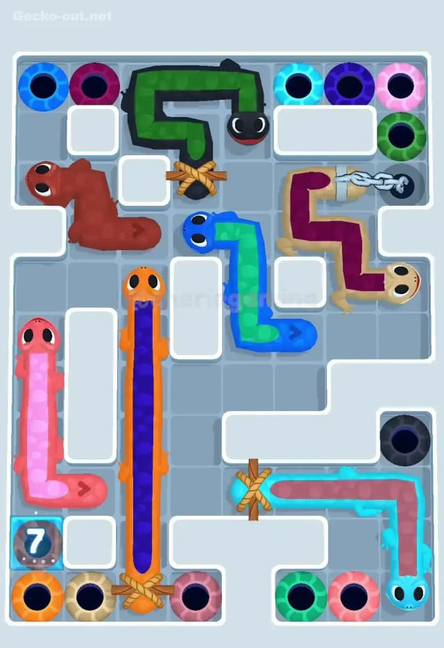 Gecko Out Level 554 Solution 1