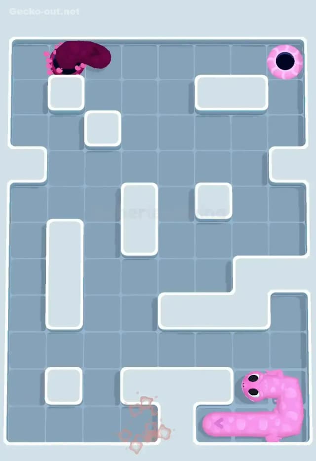 Gecko Out Level 554 Solution 3