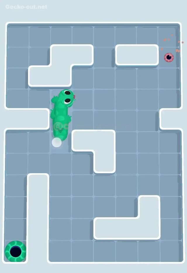 Gecko Out Level 552 Solution 3