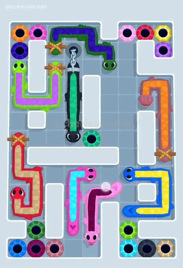Gecko Out Level 546 Solution 1