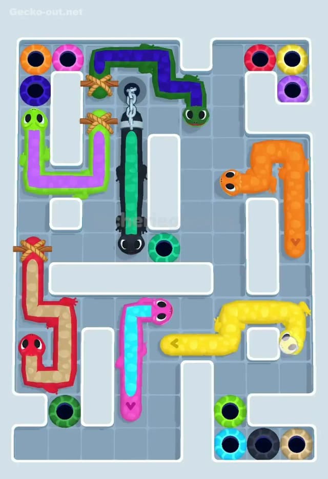 Gecko Out Level 546 Solution 2