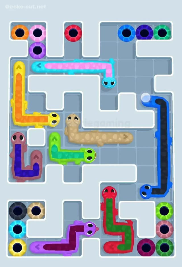 Gecko Out Level 545 Solution 1