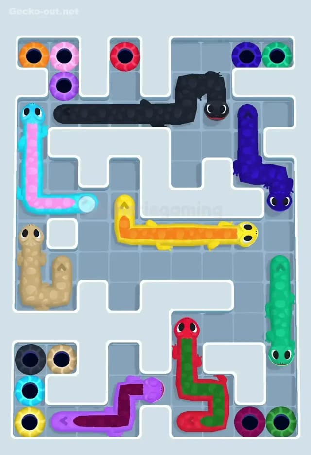 Gecko Out Level 545 Solution 3