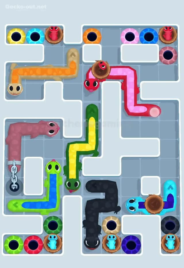 Gecko Out Level 601 Solution 1