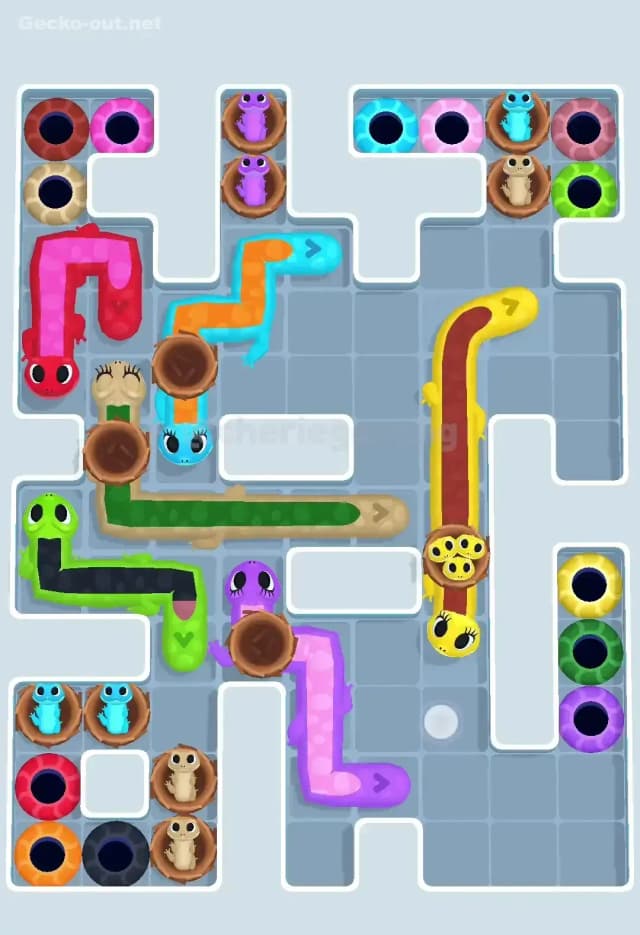 Gecko Out Level 575 Solution 1