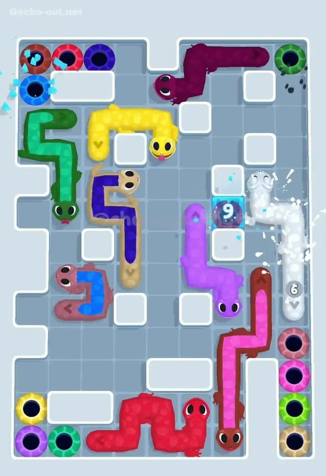 Gecko Out Level 525 Solution 3