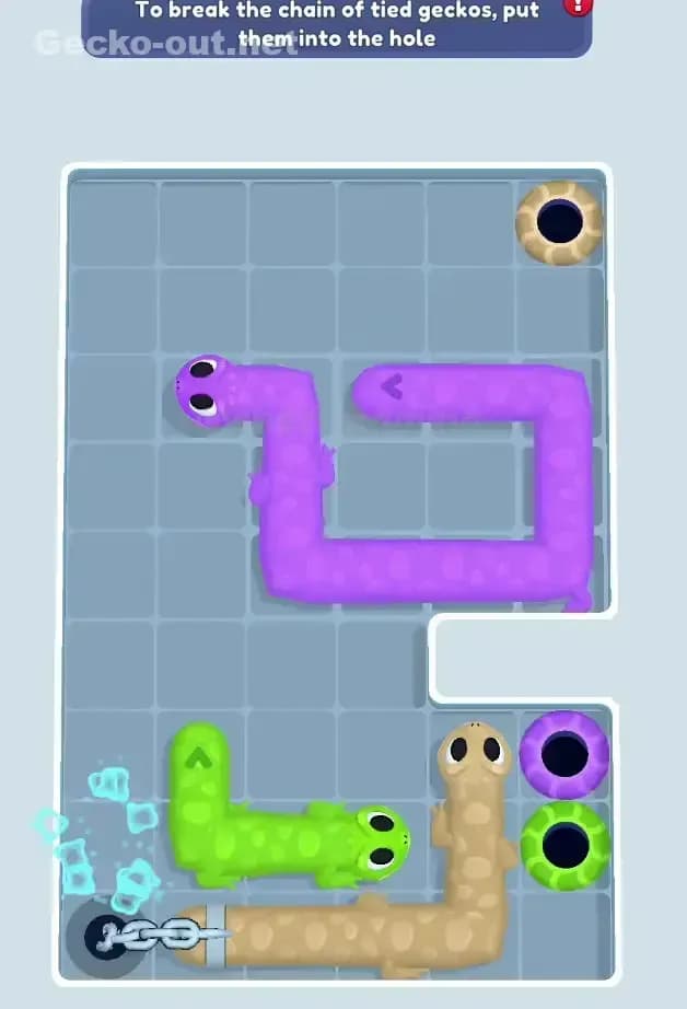 Gecko Out Level 523 Solution 1