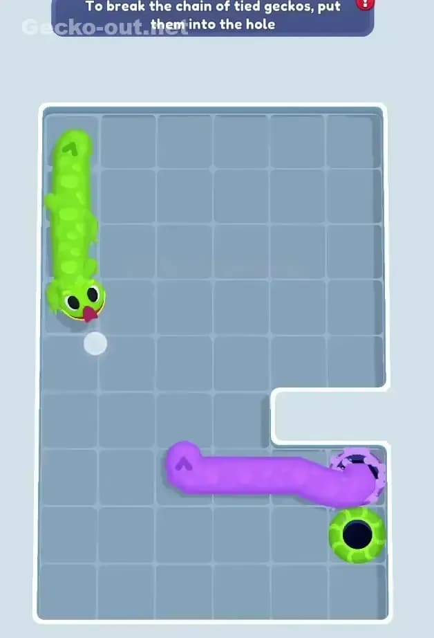 Gecko Out Level 523 Solution 3