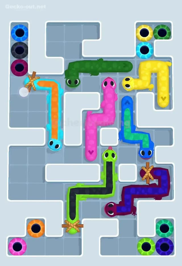 Gecko Out Level 513 Solution 3