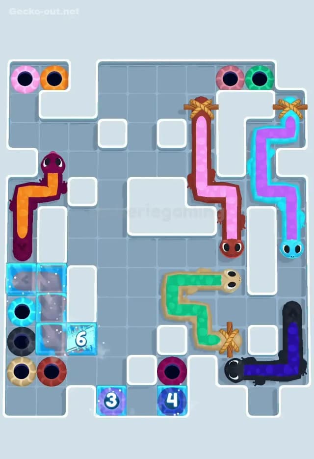 Gecko Out Level 512 Solution 3