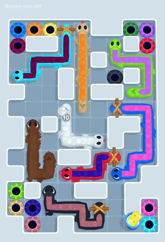 Gecko Out Level 511 Solution 1