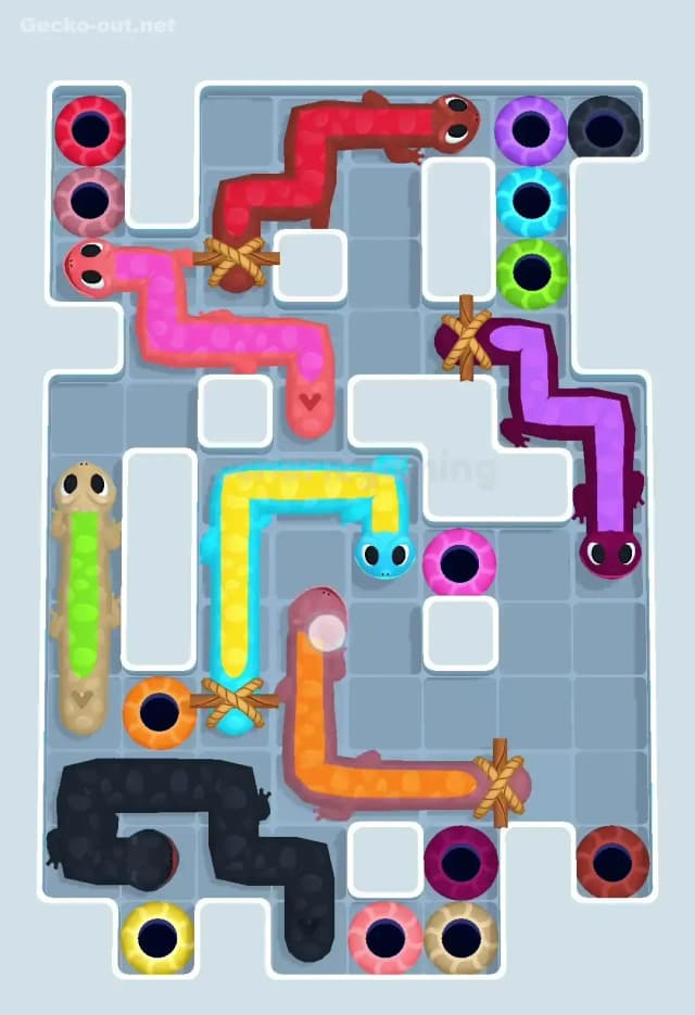 Gecko Out Level 509 Solution 1