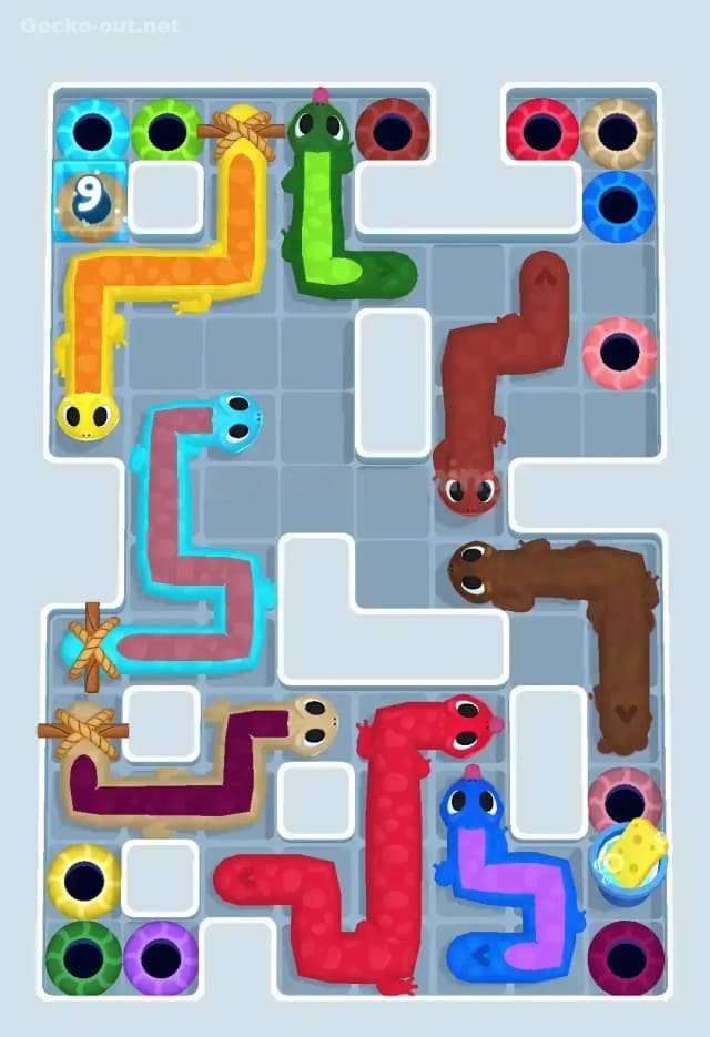 Gecko Out Level 508 Solution 1