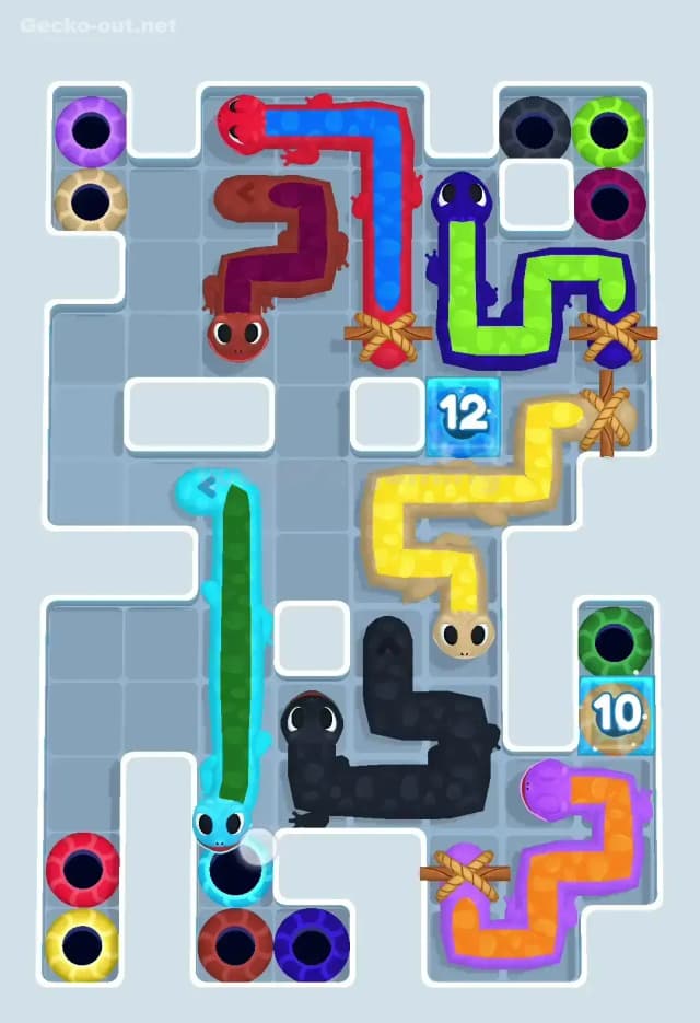 Gecko Out Level 506 Solution 1