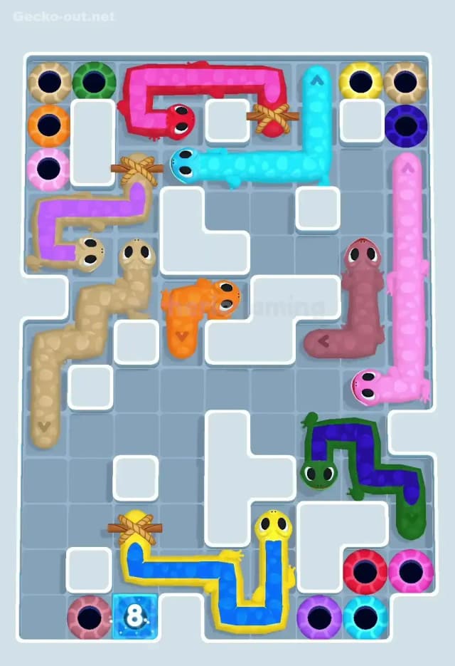 Gecko Out Level 504 Solution 1