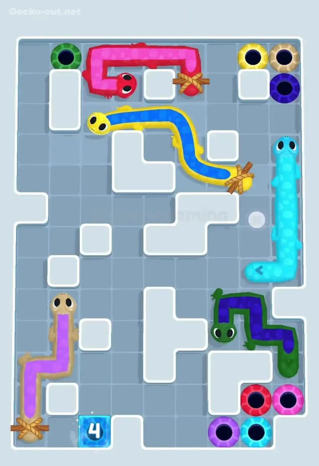 Gecko Out Level 504 Solution 2