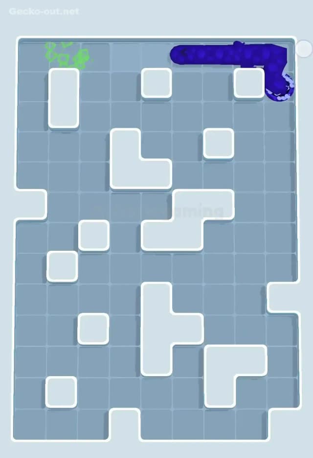 Gecko Out Level 504 Solution 3