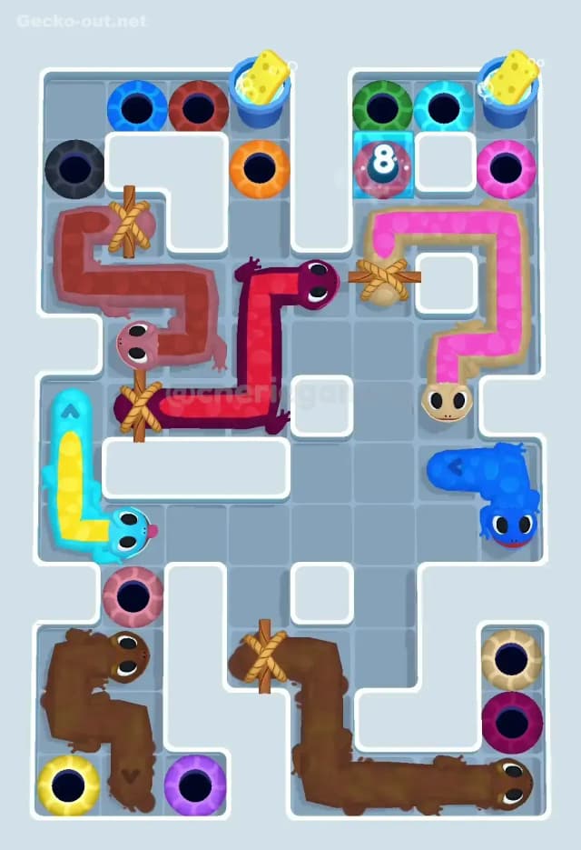 Gecko Out Level 503 Solution 1