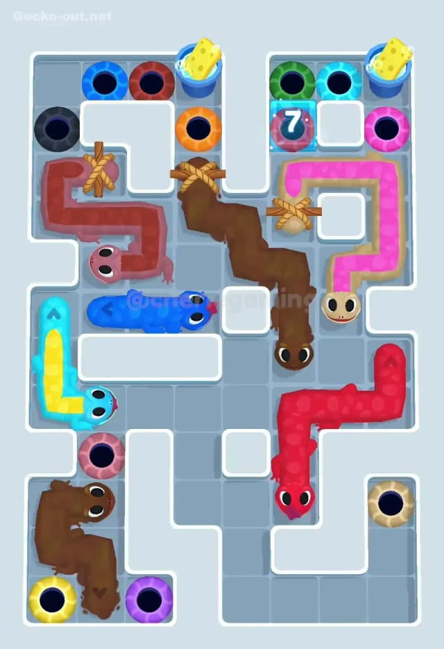 Gecko Out Level 503 Solution 2