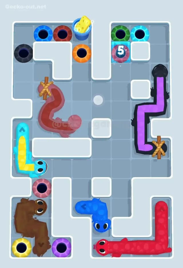 Gecko Out Level 503 Solution 3