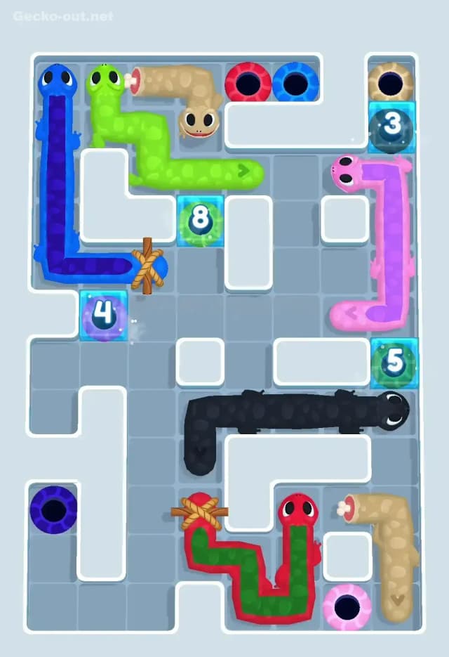 Gecko Out Level 502 Solution 2