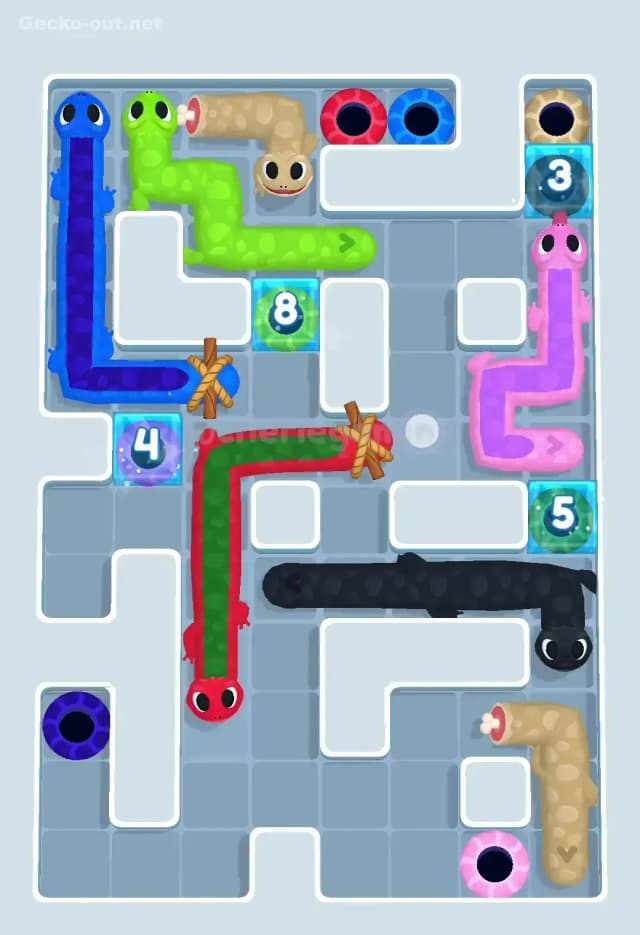 Gecko Out Level 502 Solution 3